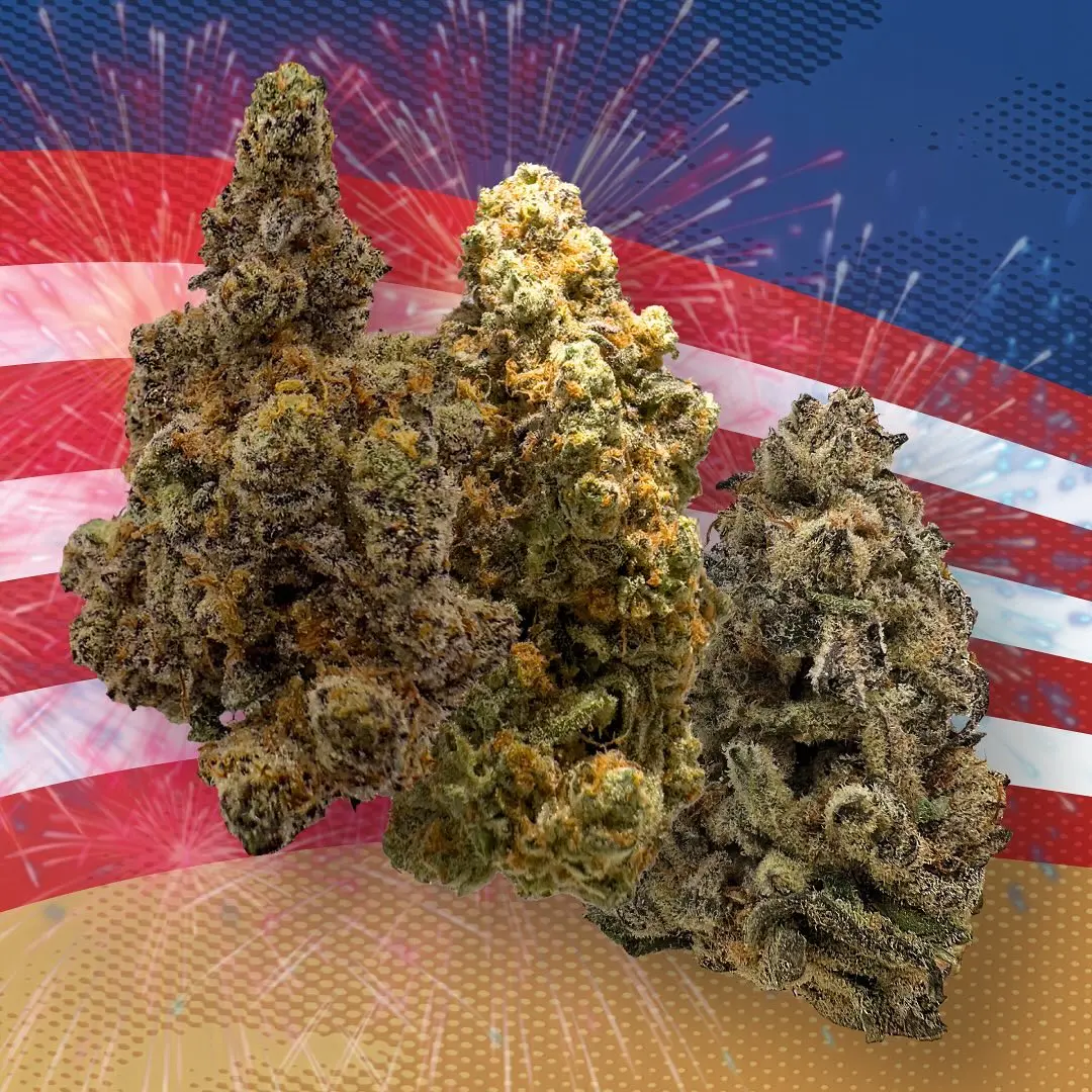 Best July 4th Cannabis Deals in Oklahoma Cannabis Buds in front of American Flag