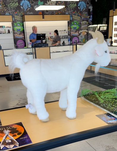 Goat House Dispensary Del City Location interior goat
