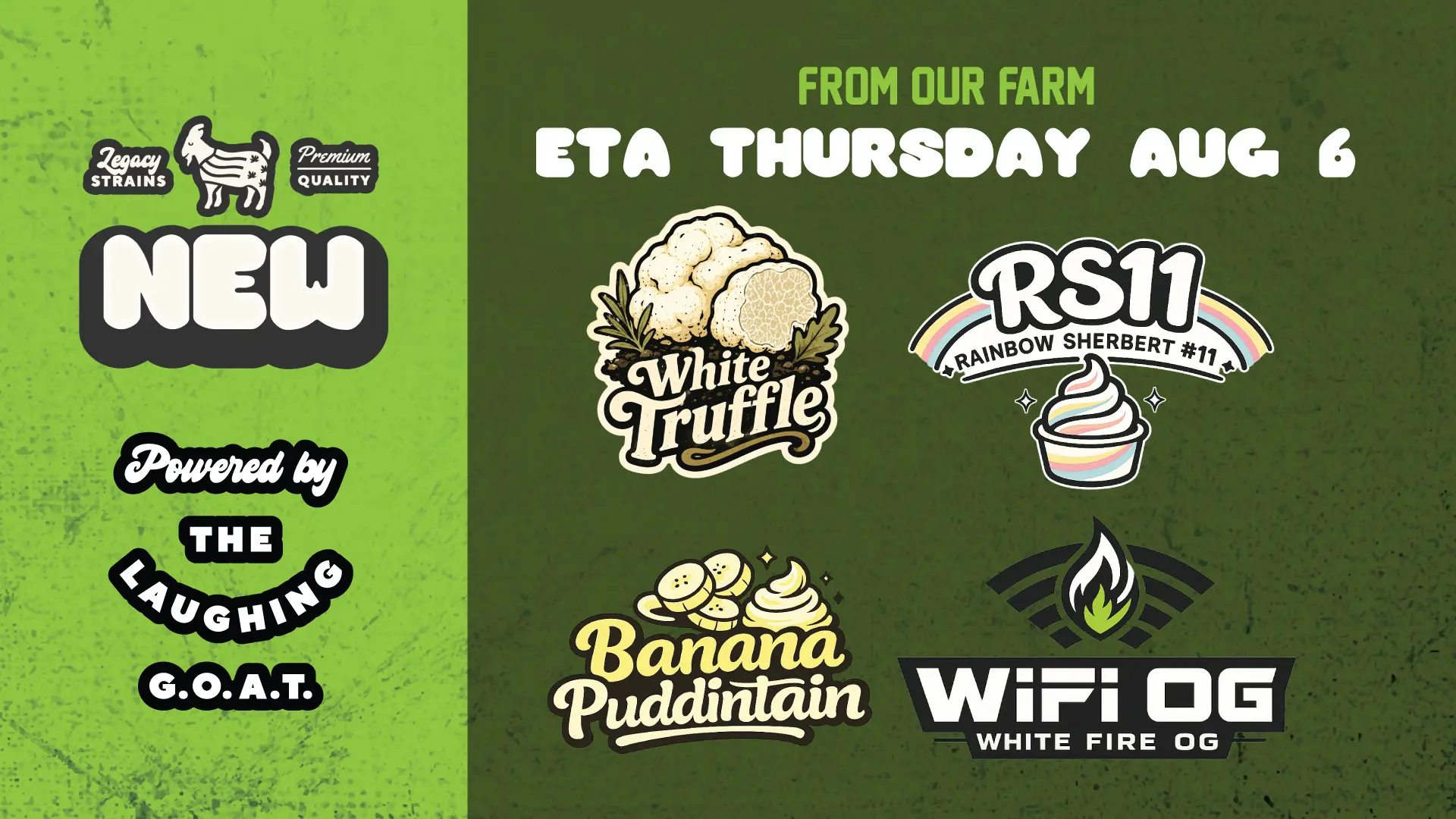 New Strains Drop August 2026 Cannabis Deals at Goat House