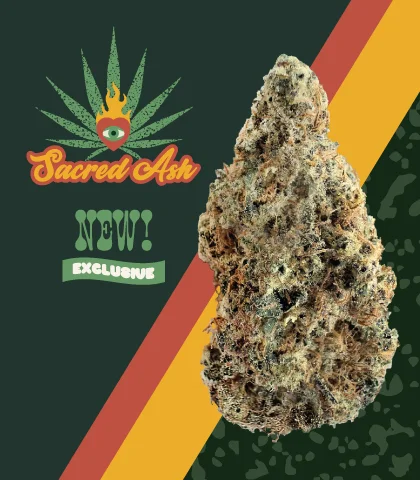 sacred ash web banner mobile Cannabis Strain at Goat House Only